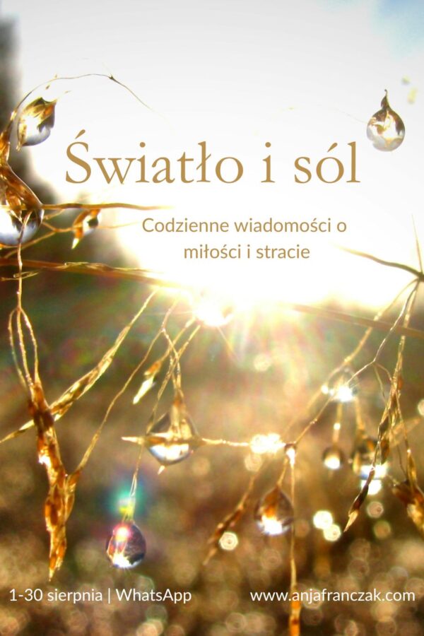 Światło i sól